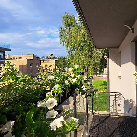 Domek W Parku Хель Екстер'єр фото